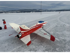 Aviation Design Scorpion